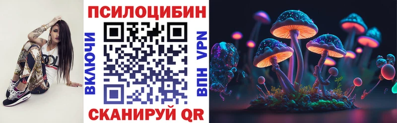 Псилоцибиновые грибы мицелий  Зима 