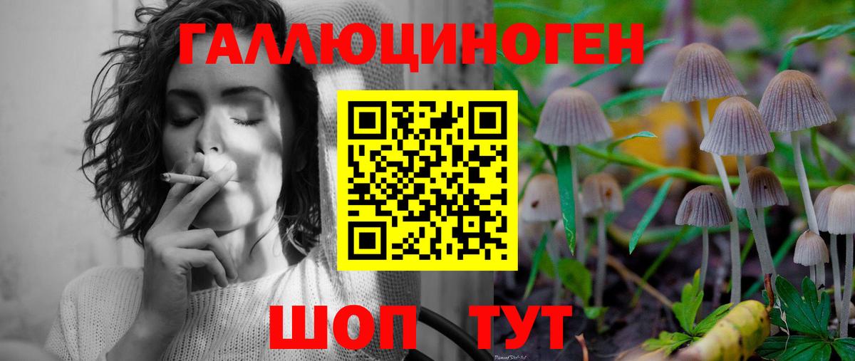 Псилоцибиновые грибы мицелий Зима