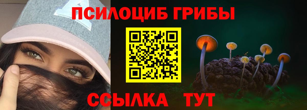 Псилоцибиновые грибы мухоморы  Галлюциногенные грибы мухоморы  Вход с VPN  Зима 